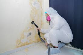 Best Forensic Mold Investigation  in Elkader, IA